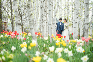 5月の上野ファームで「自然×花×ロマンチック」を実現！