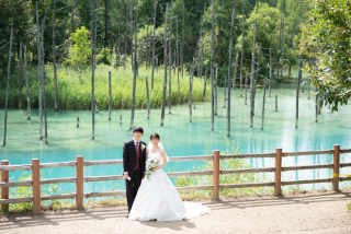 風景を活かしたシンプルで上質な青い池