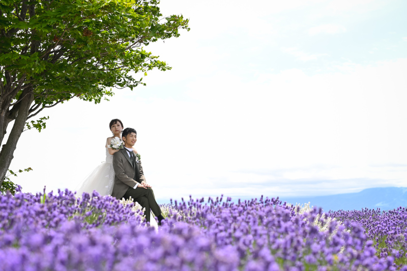 夏、美瑛・富良野　3ヵ所　ラベンダー、お花一本道　その１