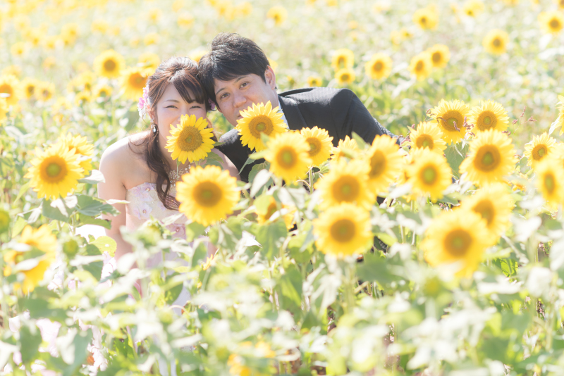 北海道お花畑で結婚写真。ラベンダーひまわりだけじゃない５つの手順