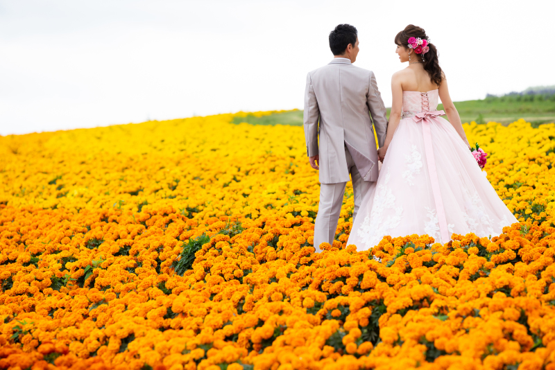 北海道お花畑で結婚写真。ラベンダーひまわりだけじゃない５つの手順