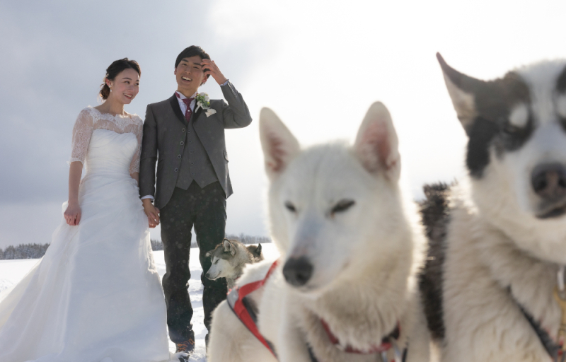 北海道、美瑛を満喫体験型フォトウェィングで楽しむ