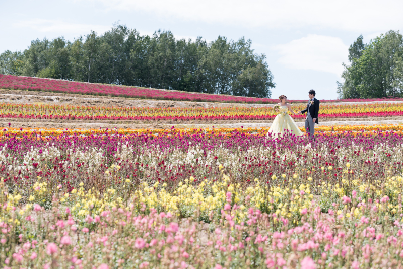 北海道、美瑛、富良野 ロケーションフォトが人を魅了する5つの理由