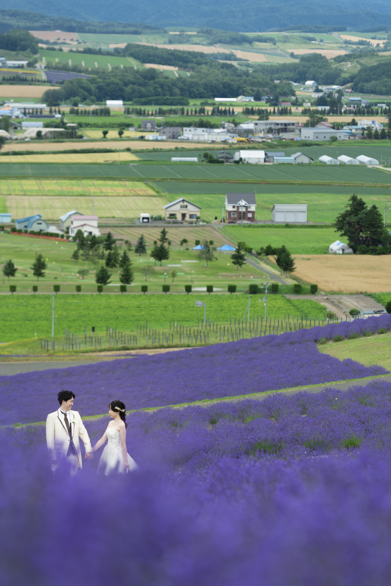 美瑛・富良野3か所巡遊日の出公園、四季彩の丘、青い池こんな感じ