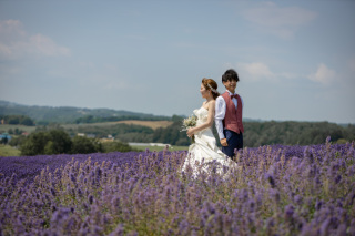 7月中旬2週目ころのラベンダー日の出公園、羊と撮影、一本道の３か所こんな感じ