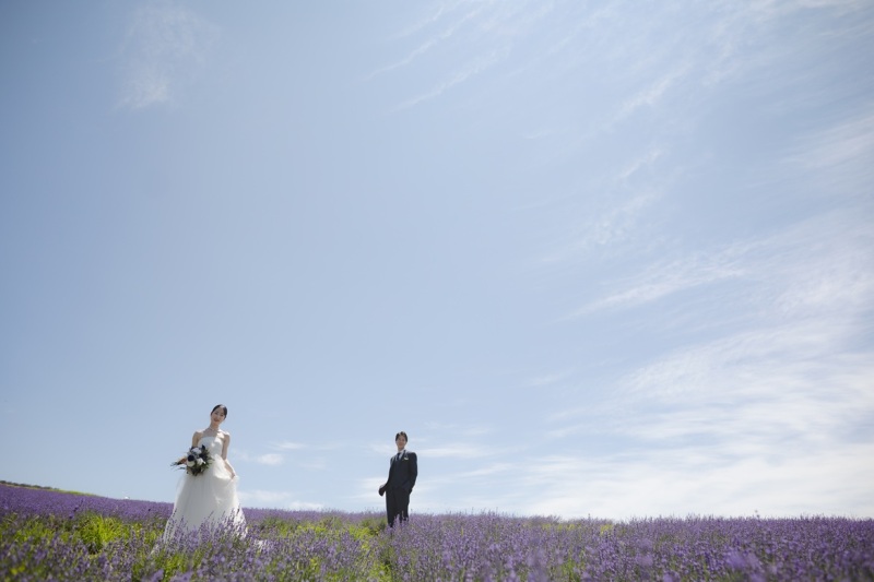 【7月限定】ラベンダーの時期予約受付中！