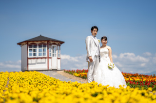  美瑛・富良野3ヵ所　青い池と四季彩の丘、フラワーランド撮影こんな感じ　その３