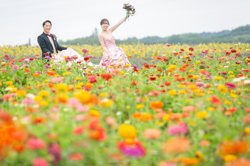 【フラワーランド】北海道らしい開放感を感じられるお花畑