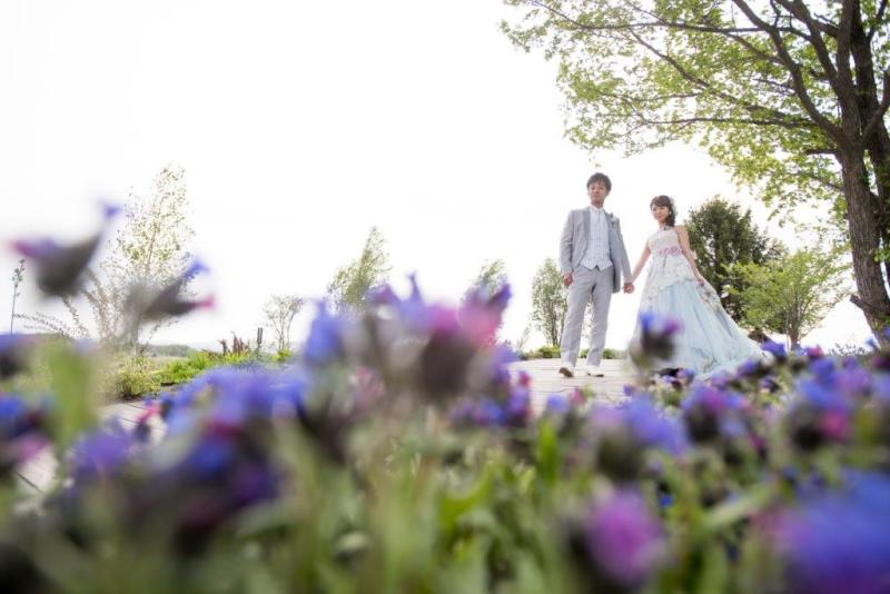 北海道お花畑で結婚写真。ラベンダーひまわりだけじゃない５つの手順