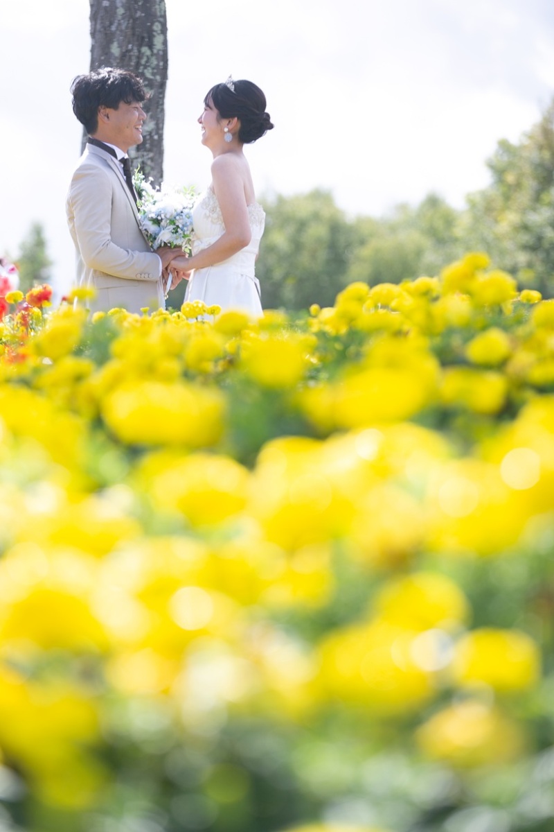 【四季彩の丘】美瑛の広大な丘陵地に広がるお花畑
