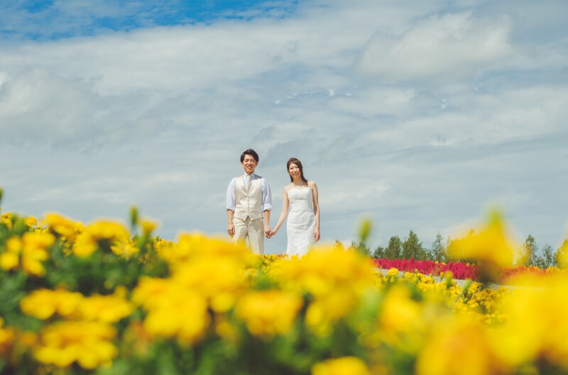 広々とした北海道らしいお花畑、フラワーランドかみふらの Ⅱ
