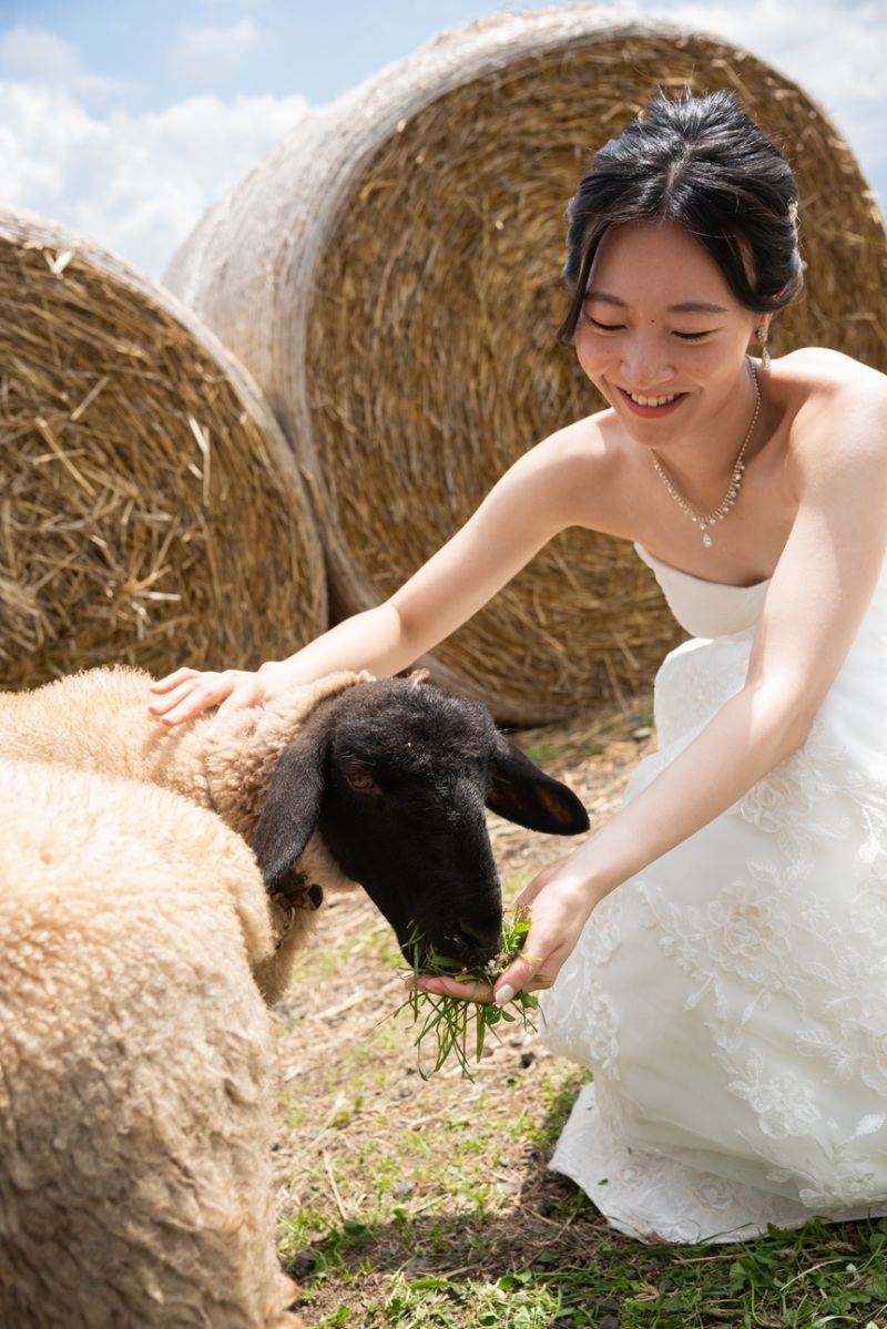 【一周年記念】美瑛・富良野トリップリールムービーを特別価格でご案内!