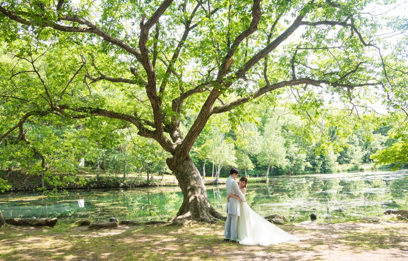 夏　旭川神社境内で撮影　フラワーランドかみふらの　鳥沼公園　その３