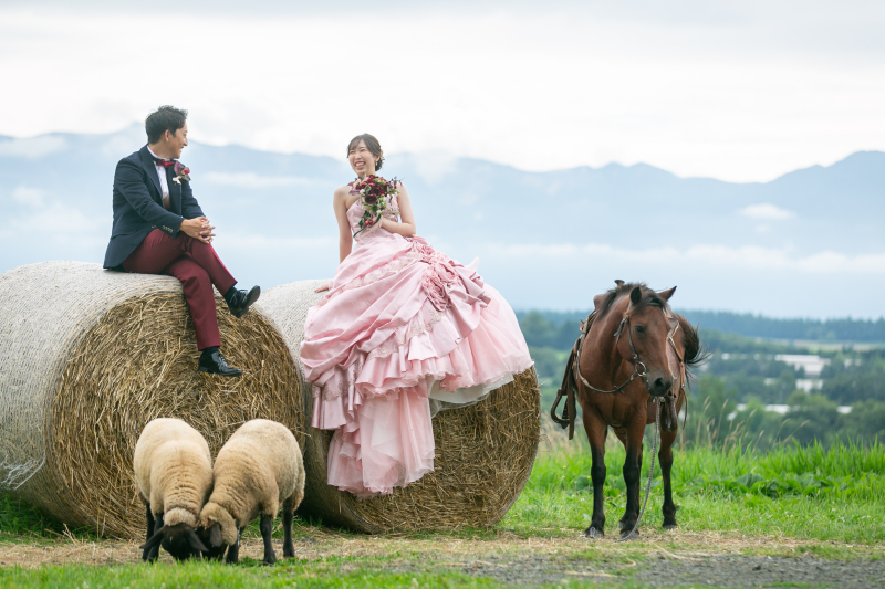 牧草ロールでの撮影と、その正体を徹底紹介