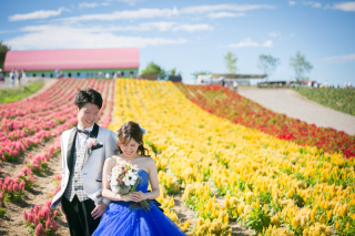 カラードレスで自分らしさをプラス！特別な1枚を