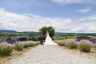　 夏、美瑛・富良野　3ヵ所　フラワーランド、一本道　その２