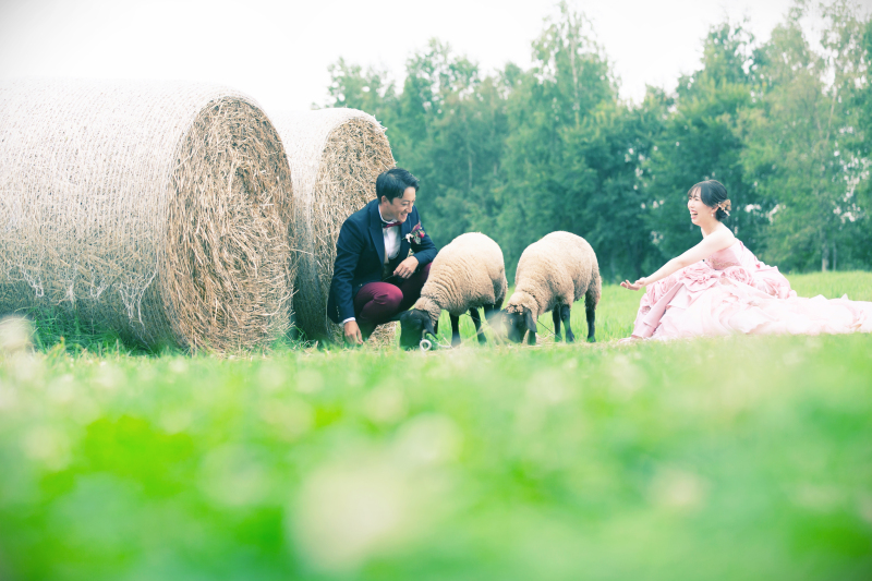 牧草ロールでの撮影と、その正体を徹底紹介
