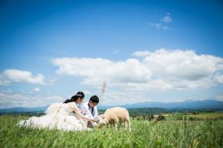 7月上野ファーム　、ファームズ千代田、フラワーランドかみふらの　3ヵ所その2
