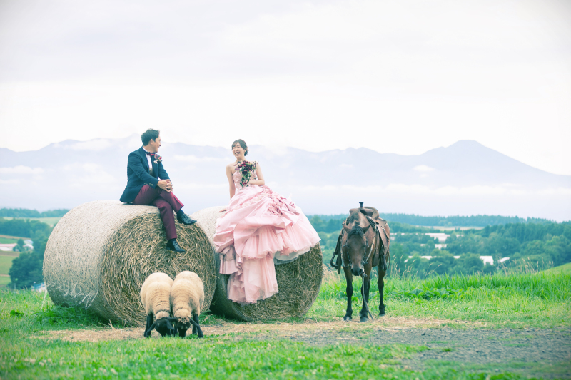 丘のうえの4つの特徴をご紹介！