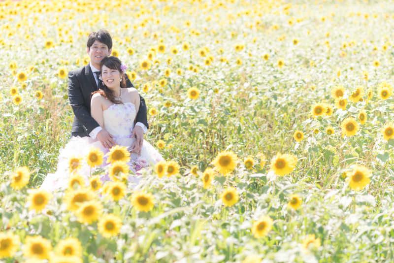 北海道お花畑で結婚写真。ラベンダーひまわりだけじゃない5つの手順