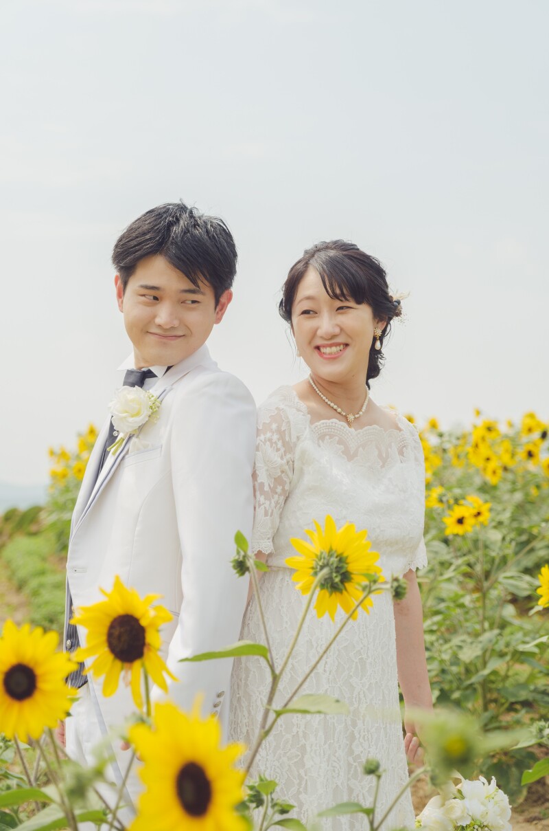 美瑛・富良野のひまわりのこと