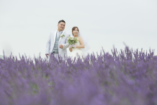 7月後半のお花畑フラワーランドと鳥沼公園2か所撮影