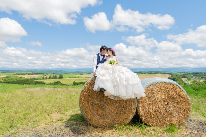 7月25日頃の美瑛富良野3か所巡遊日の出公園、千代田ファーム、四季彩の丘の感じ!