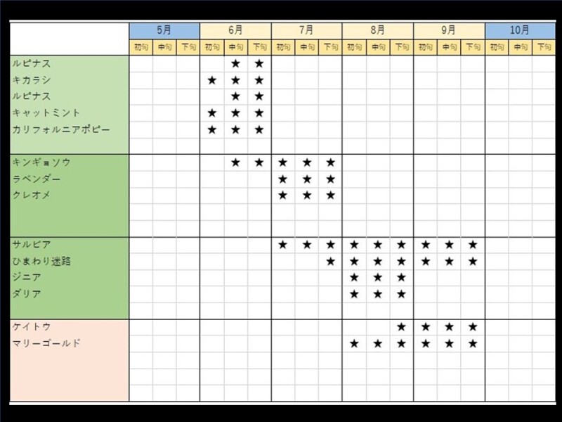 北海道を楽しむお花でフォトウェディング解説2