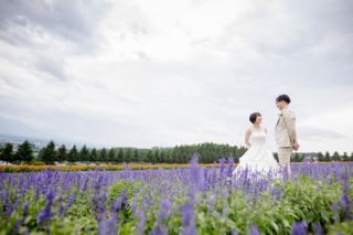 7月のフラワーランドかみふらの⑤