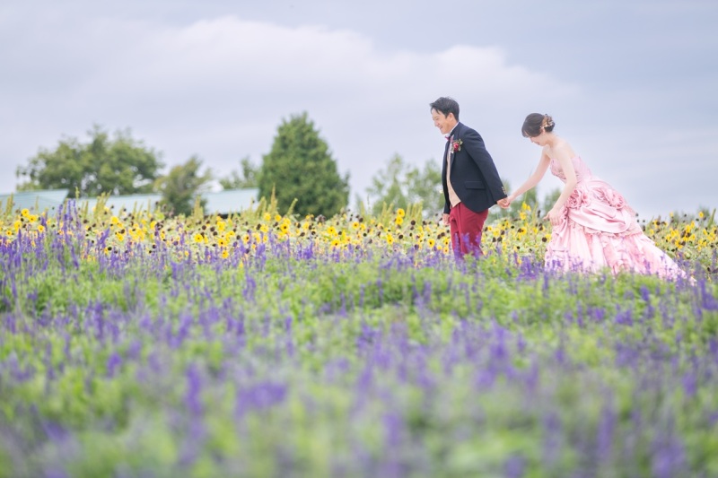 【フラワーランド】北海道らしい開放感を感じられるお花畑