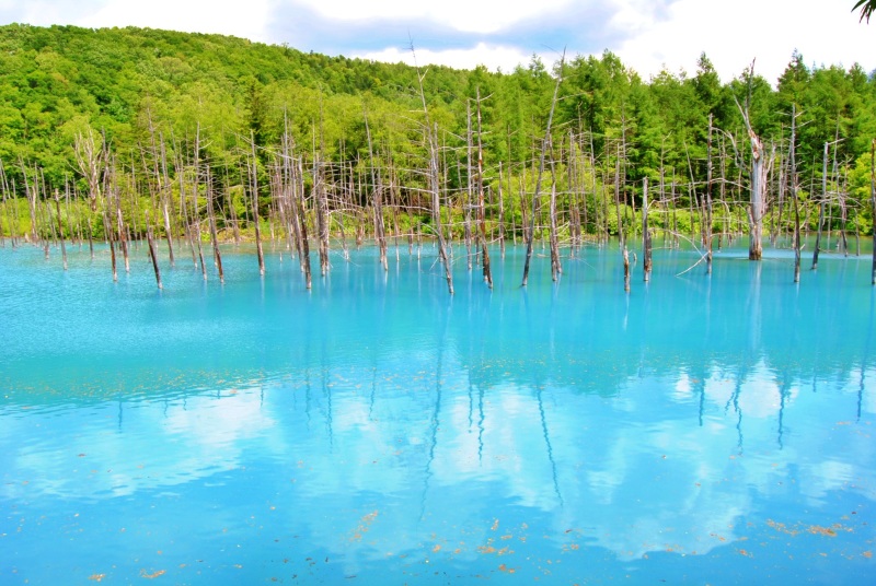北海道、美瑛、富良野 ロケーションフォトが人を魅了する5つの理由