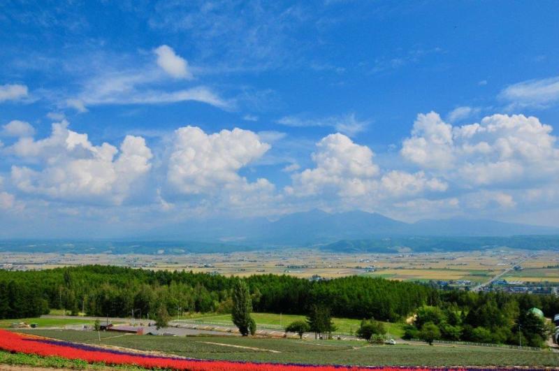 北海道美瑛町前撮フォトウェディングを楽しむ ２つの景色深堀情報