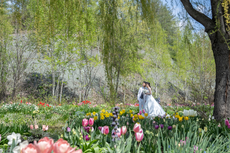 北海道を楽しむお花でフォトウェディング解説2