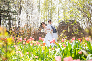 美瑛・富良野を楽しむ５つのお花畑特徴と撮影5つのポイント　1