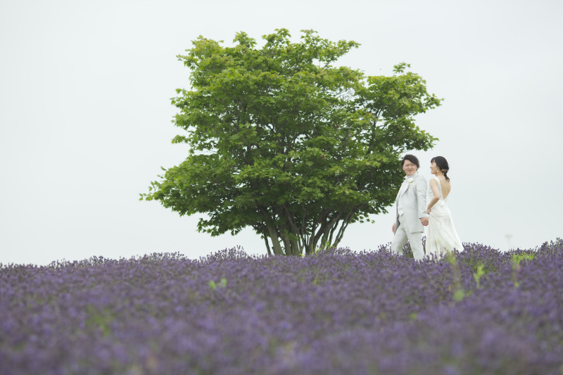 7月中旬の日の出公園、フラワーランドかみふらの2つの花畑と1本道3か所巡遊