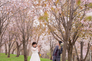 桜の季節のご予約も受付中