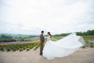 ７月の四季彩の丘①