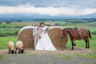 羊と馬に囲まれる優しい一枚