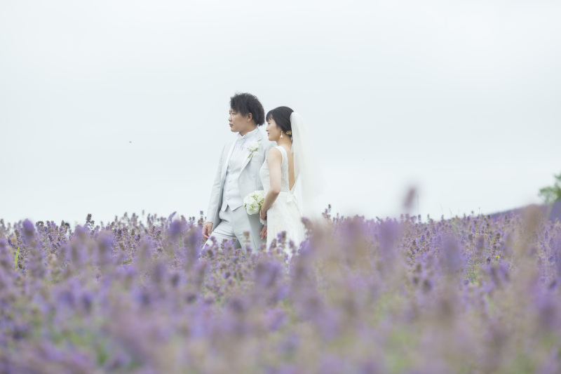 7月中旬の日の出公園、フラワーランドかみふらの2つの花畑と1本道3か所巡遊