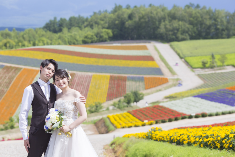 7月中旬ころの羊と撮影、四季彩の丘の2か所かわいいとカラフル楽しめます
