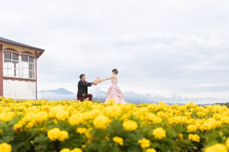【フラワーランド】北海道らしい開放感を感じられるお花畑