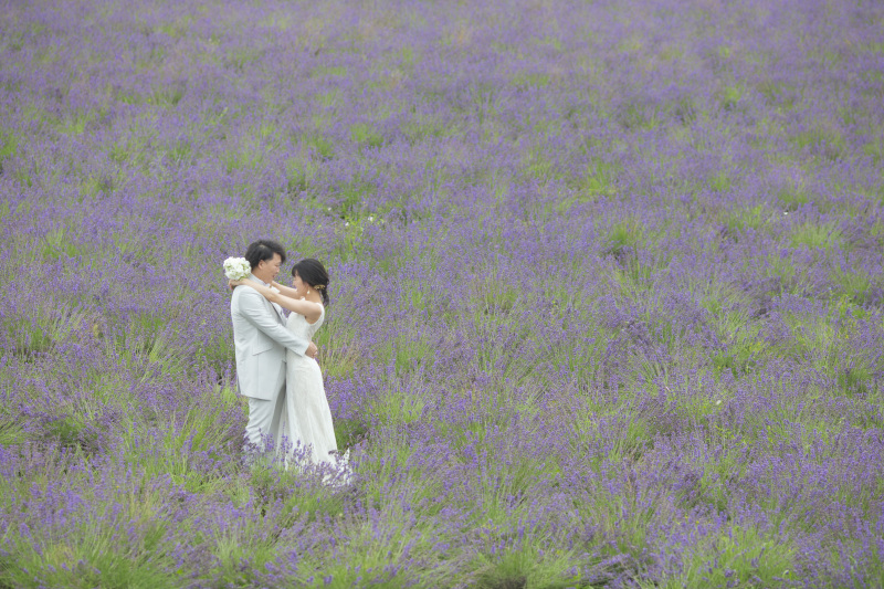 7月中旬の日の出公園、フラワーランドかみふらの2つの花畑と1本道3か所巡遊