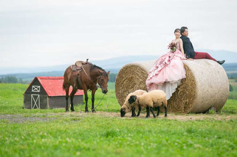 牧草ロールでの撮影と、その正体を徹底紹介
