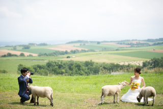 撮影したデータはいつごろ出来上がるの？にお答えします！