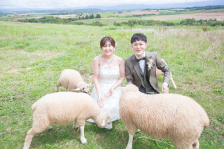 8月の美瑛　華から　羊　ファームズ千代田へGo　その２