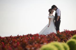 7月のフラワーランドかみふらの③