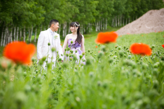 お花の咲き具合はどうなの？6月の四季彩の丘