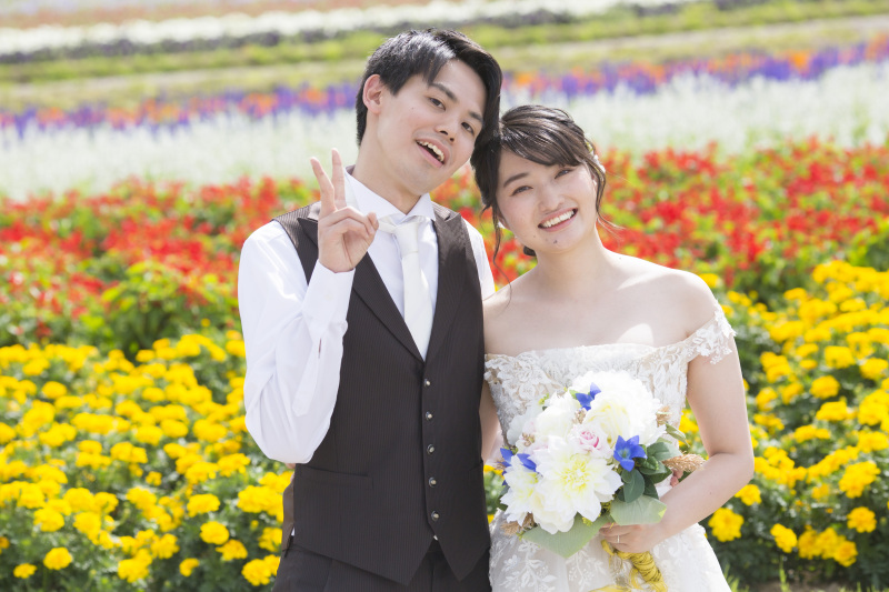 7月中旬ころの羊と撮影、四季彩の丘の2か所かわいいとカラフル楽しめます