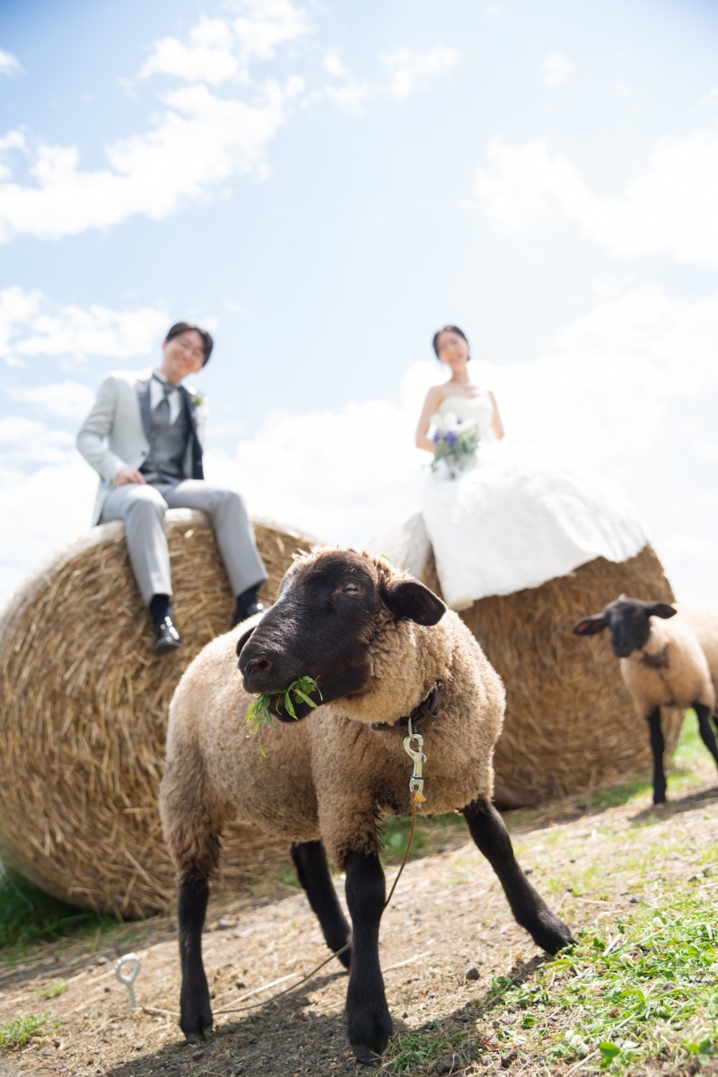 旅の流れで写真も残そう！