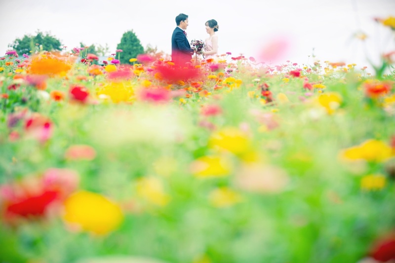 【フラワーランド】北海道らしい開放感を感じられるお花畑